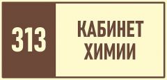 313-кабинет-химии