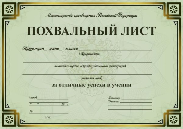Похвальный лист(за отличные успехи в учёбе)